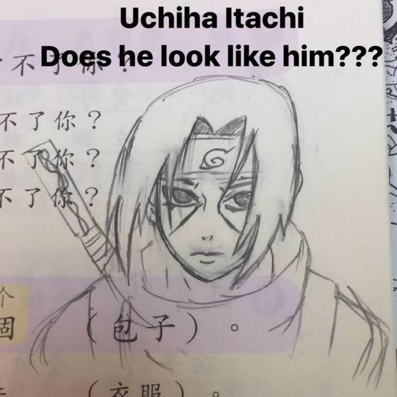 Meet your Posher, Opal - Picture 1 of 1